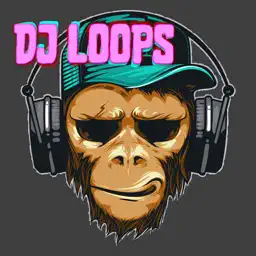 DJ Pads Loop Music Maker