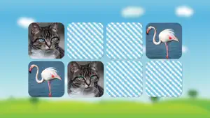 动物的声音和照片为儿童和婴儿 - 学习动物与记忆游戏的声音截图3