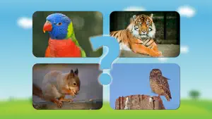 动物的声音和照片为儿童和婴儿 - 学习动物与记忆游戏的声音截图4