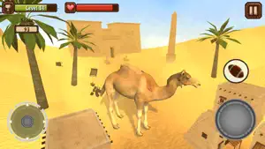 Camel Simulator截图2