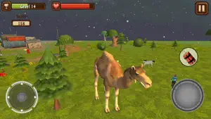 Camel Simulator截图4