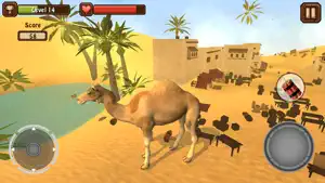 Camel Simulator截图5