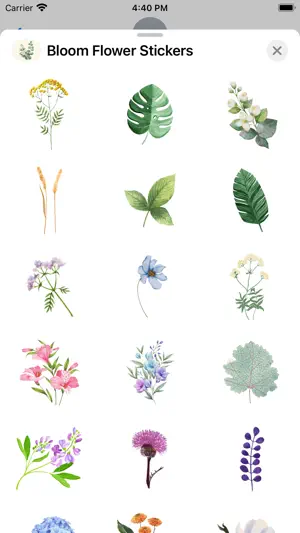 Bloom Flower Stickers截图1